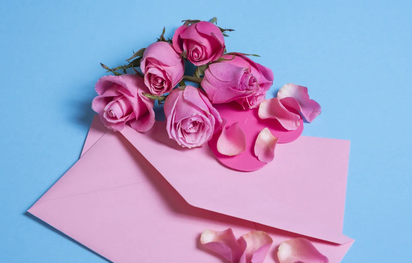 Photo wallpaper flowers, roses, petals, pink, pink, flowers, beautiful, romantic