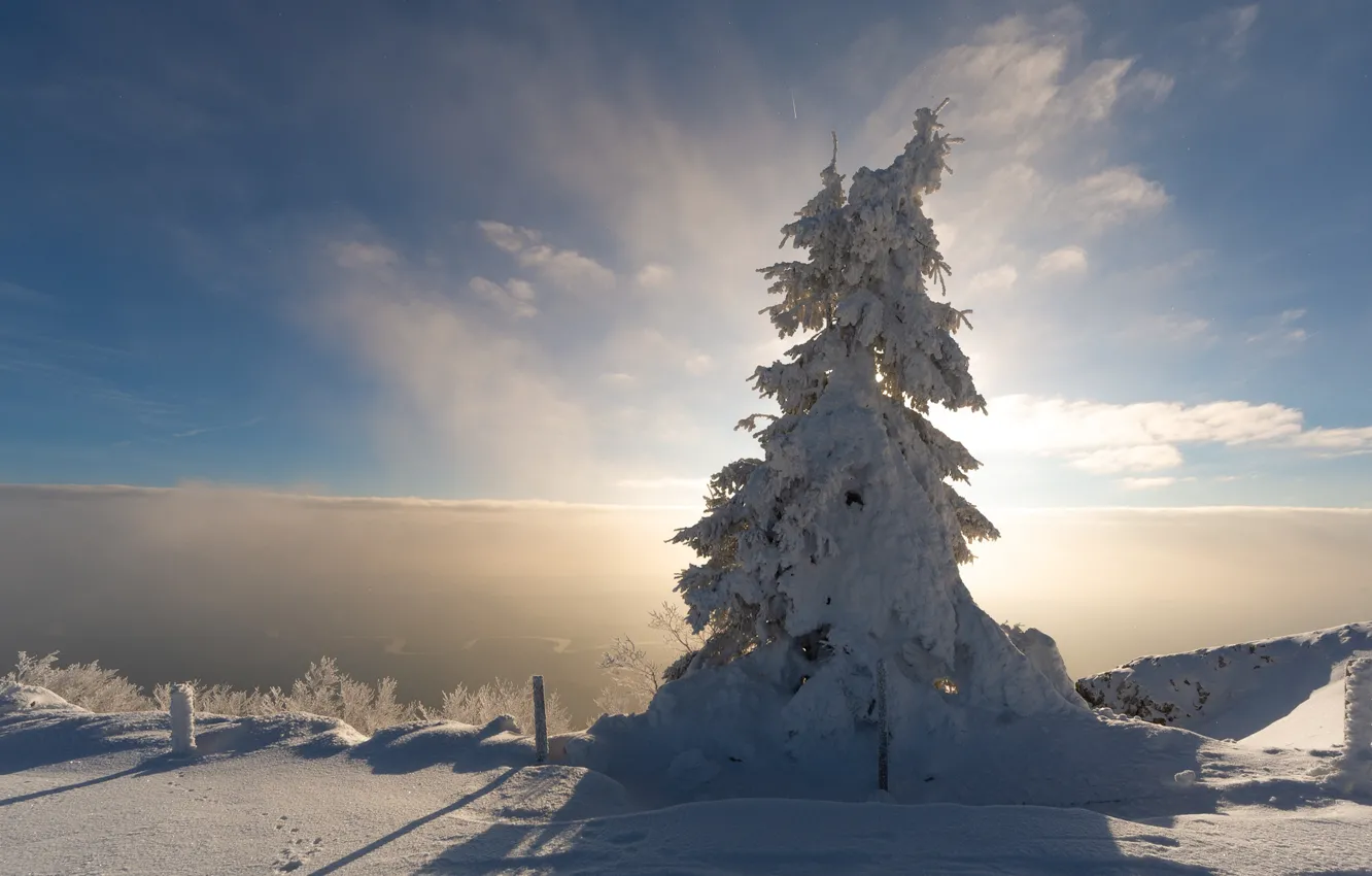 Photo wallpaper winter, frost, field, clouds, light, snow, fog, river