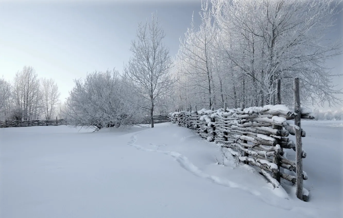 Photo wallpaper winter, snow, nature, the fence