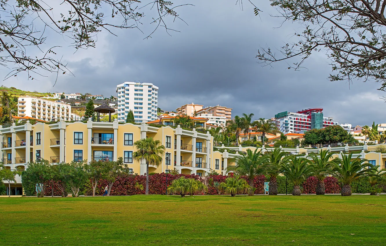 Photo wallpaper the city, palm trees, photo, lawn, home, Portugal, resort, Funchal Madeira
