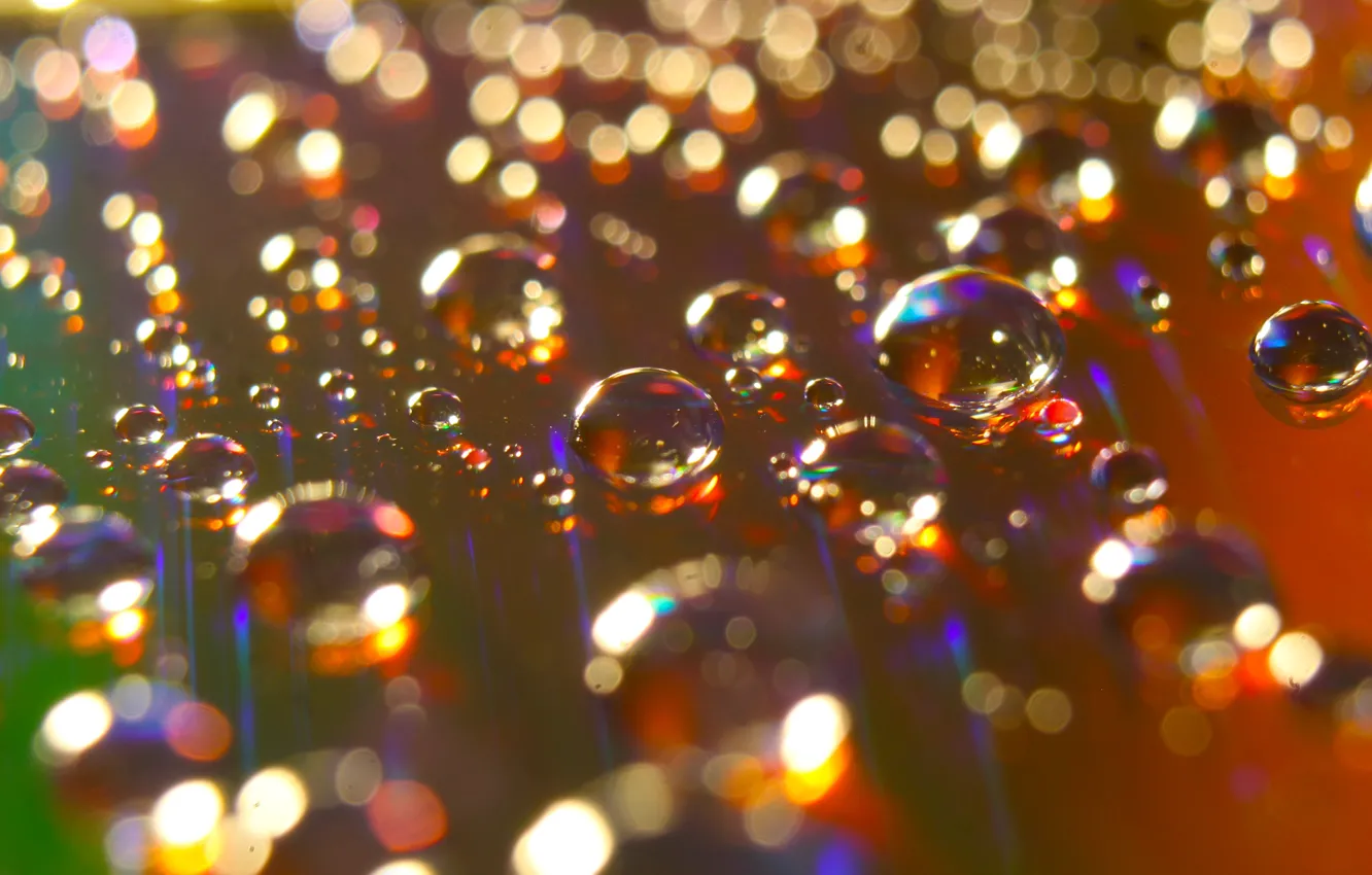 Photo wallpaper water, color, drops