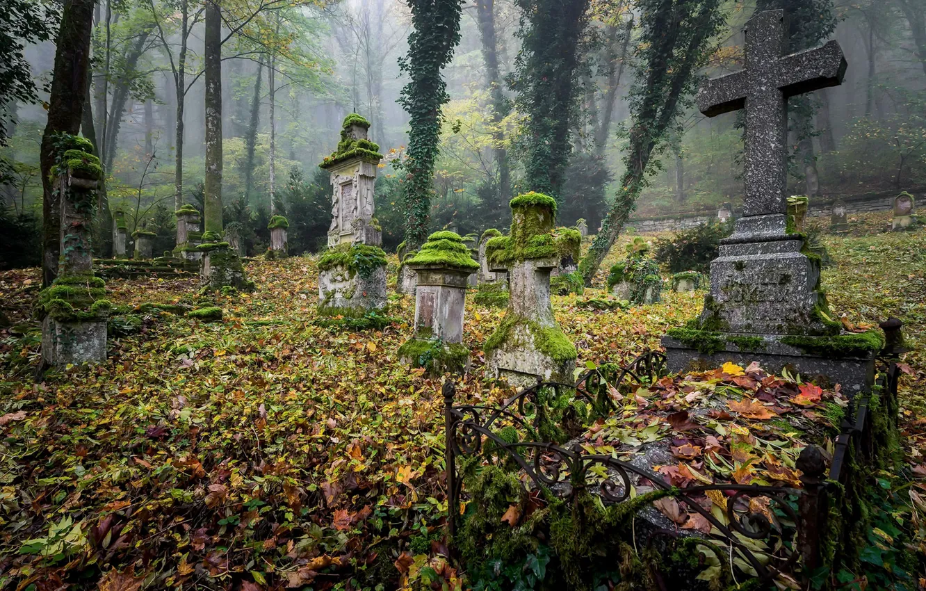 Photo wallpaper leaves, graves, cemetery