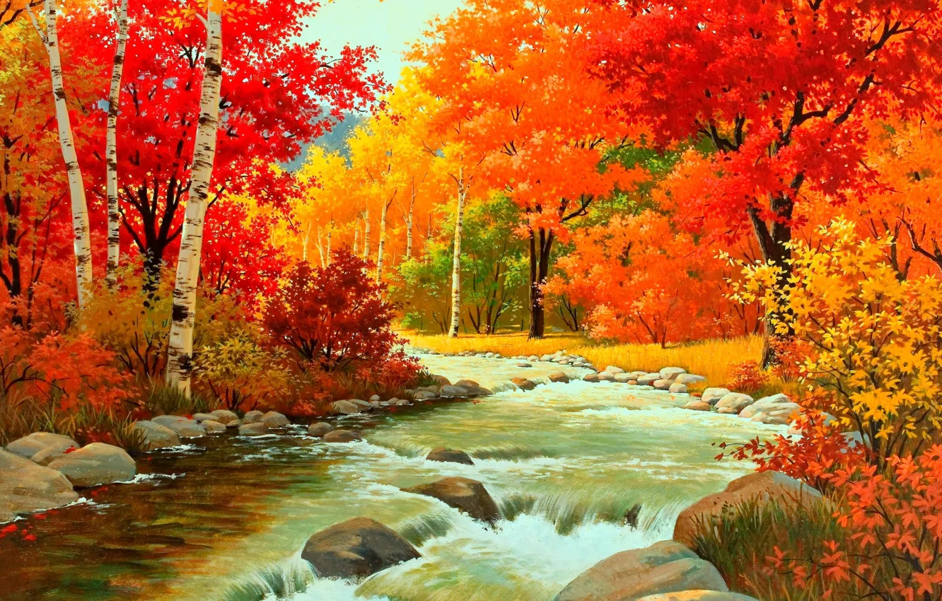 Photo wallpaper forest, water, river, stones, foliage, Autumn, the bushes