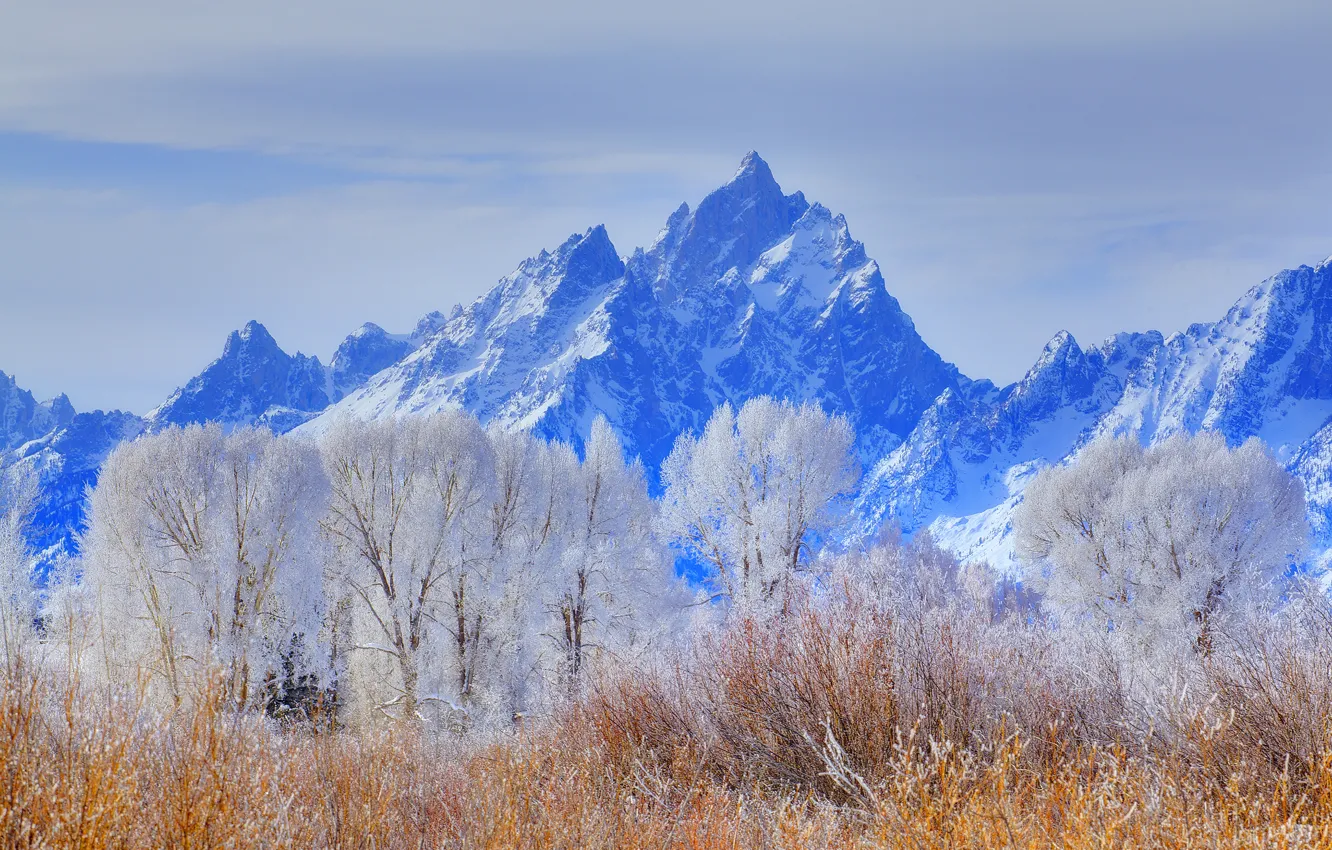 Photo wallpaper winter, frost, the sky, snow, trees, mountains, USA, Wyoming