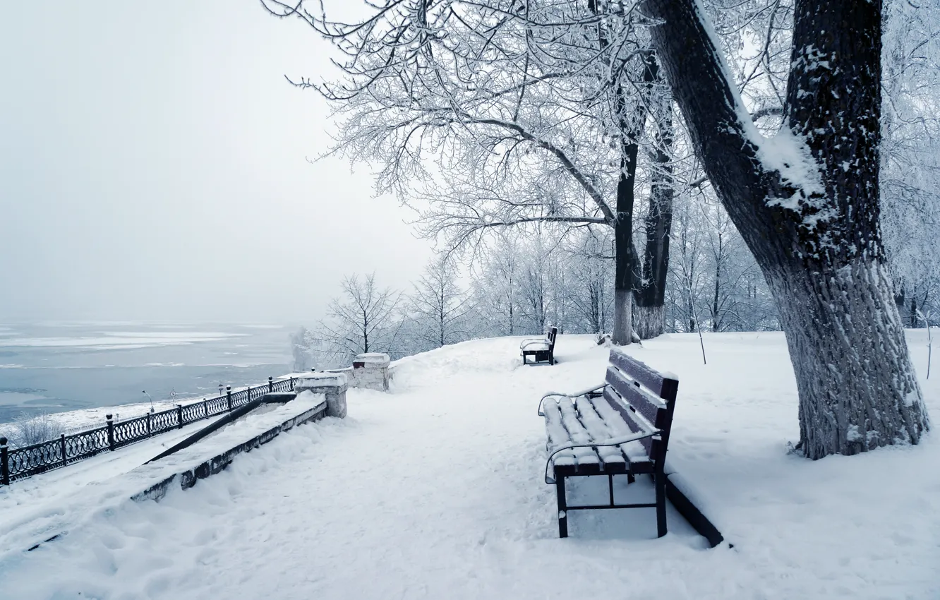 Photo wallpaper winter, snow, trees, nature, Park, nature, winter, snow