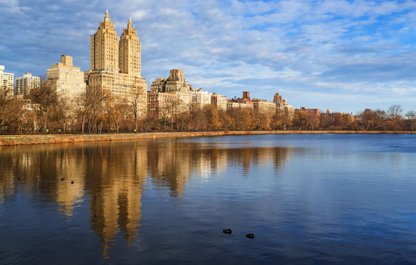 Photo wallpaper the sky, landscape, pond, home, New York, USA, Central Park