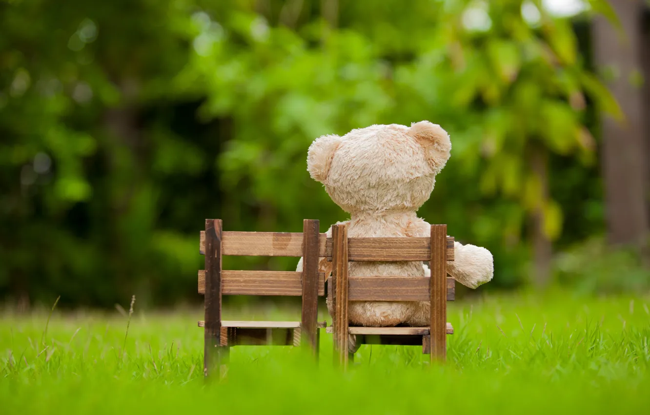 Photo wallpaper grass, toy, garden, bear, chair, bear, garden, teddy