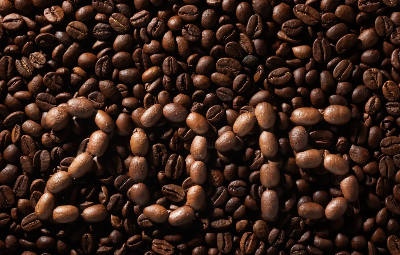 Photo wallpaper texture, background, beans, coffee, 2015