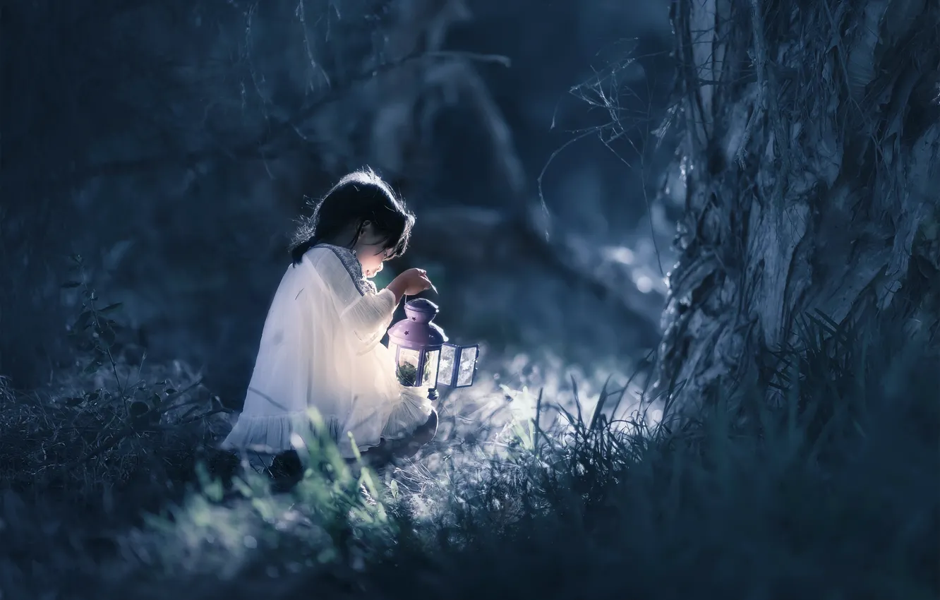 Photo wallpaper forest, night, girl