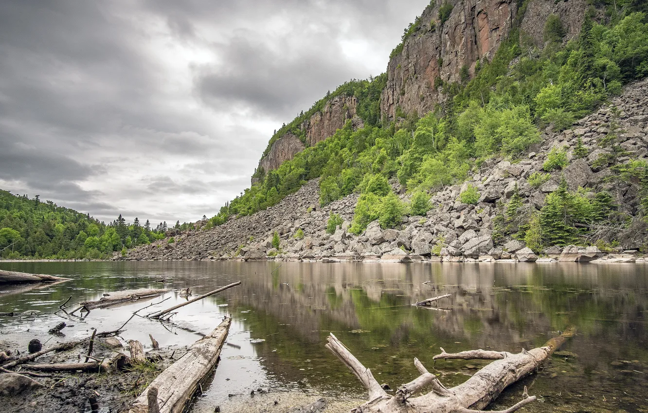 Photo wallpaper forest, trees, mountains, stones, log, pond