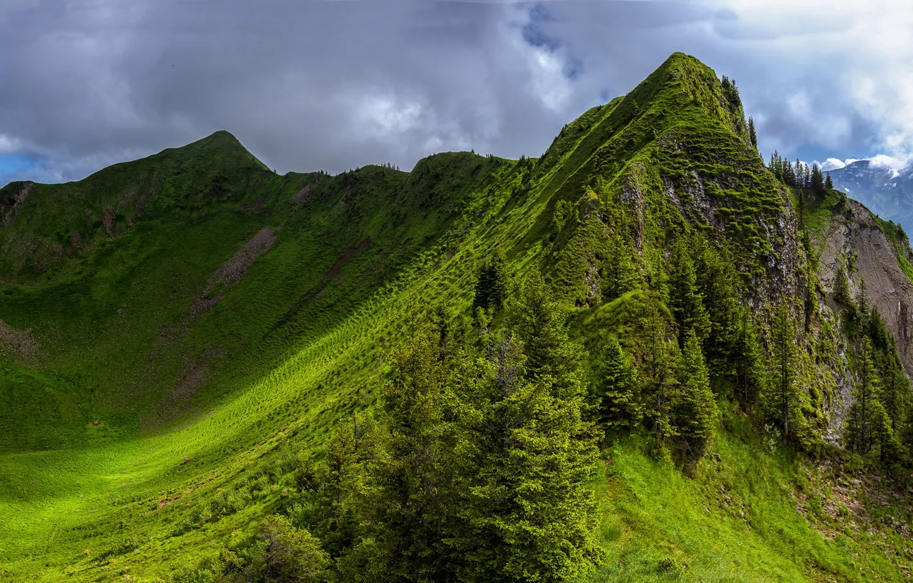 Photo wallpaper mountains, nature, green, hills, tops, spring, slope