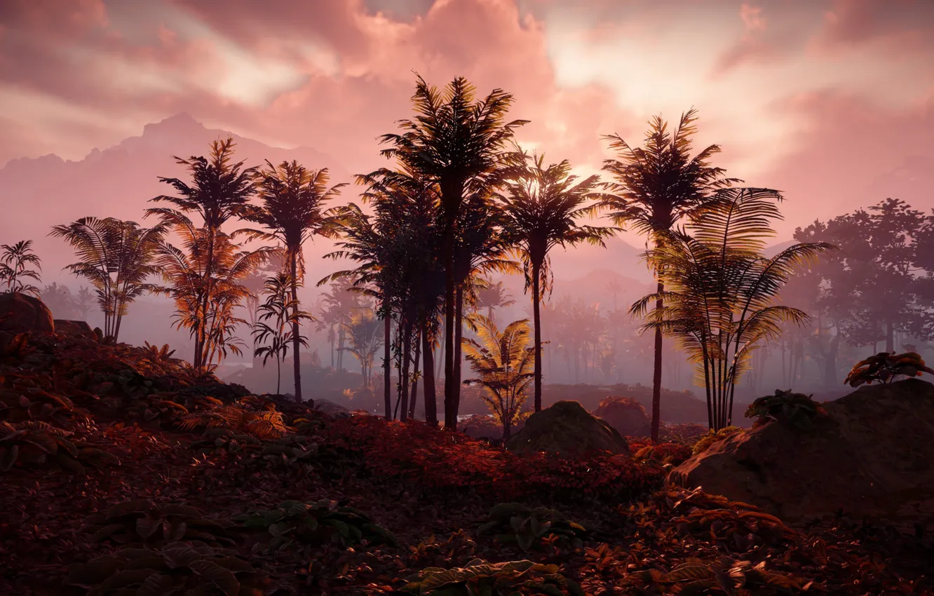 Photo wallpaper landscape, sunset, palm trees, postapokalipsis, Playstation 4, Guerrilla Games, Horizon Zero Dawn