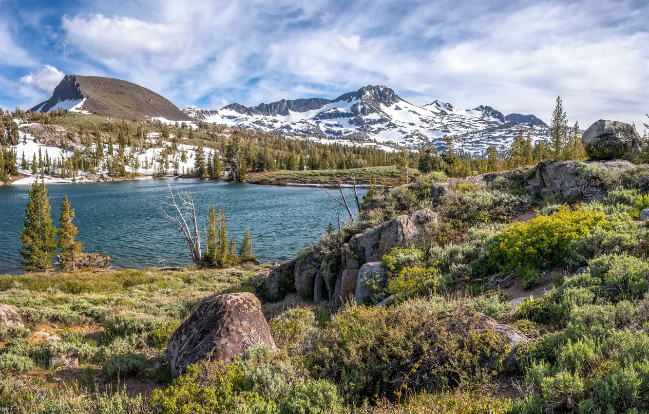 Photo wallpaper grass, landscape, nature, lake, stones, beauty, ruffle