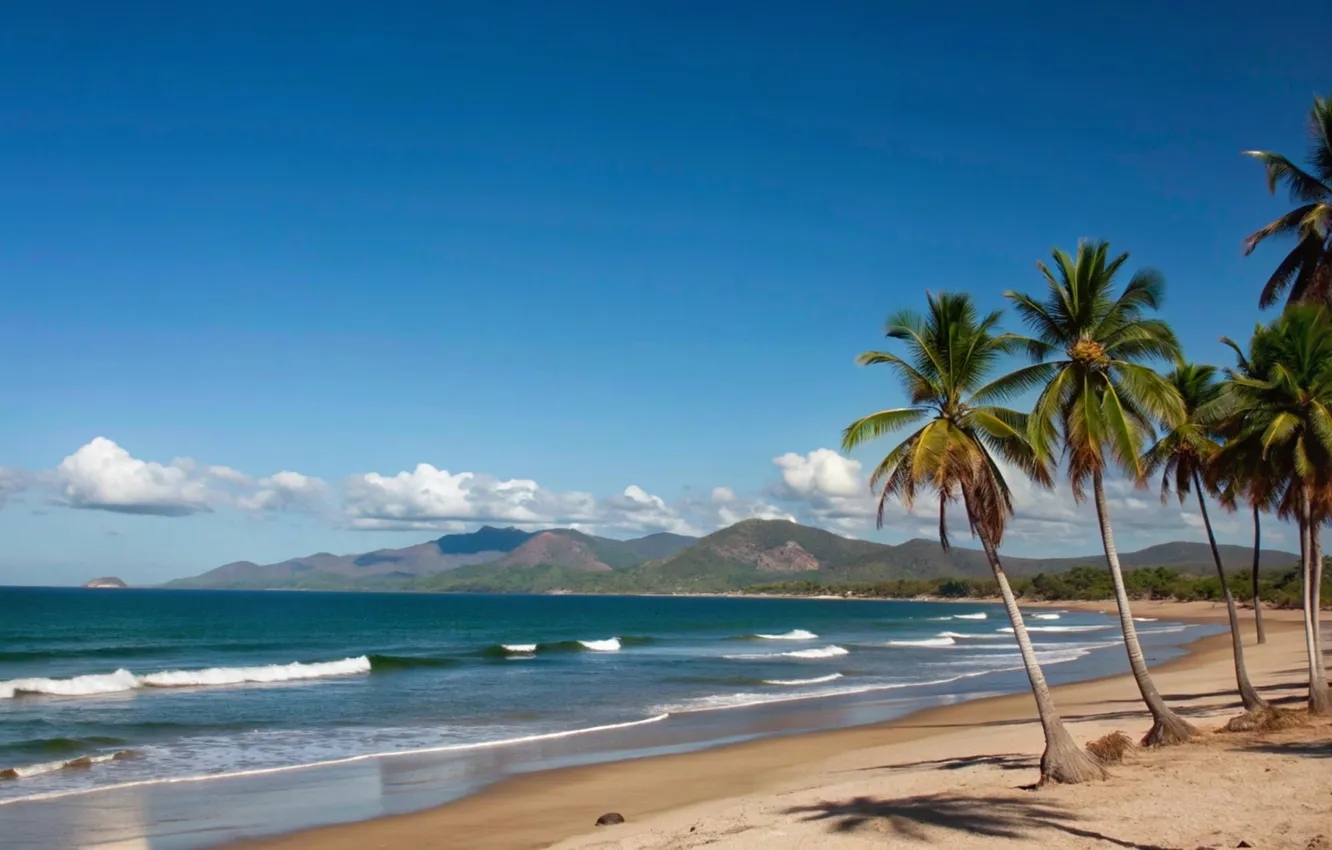 Photo wallpaper sand, sea, beach, summer, the sky, palm trees, summer, beach