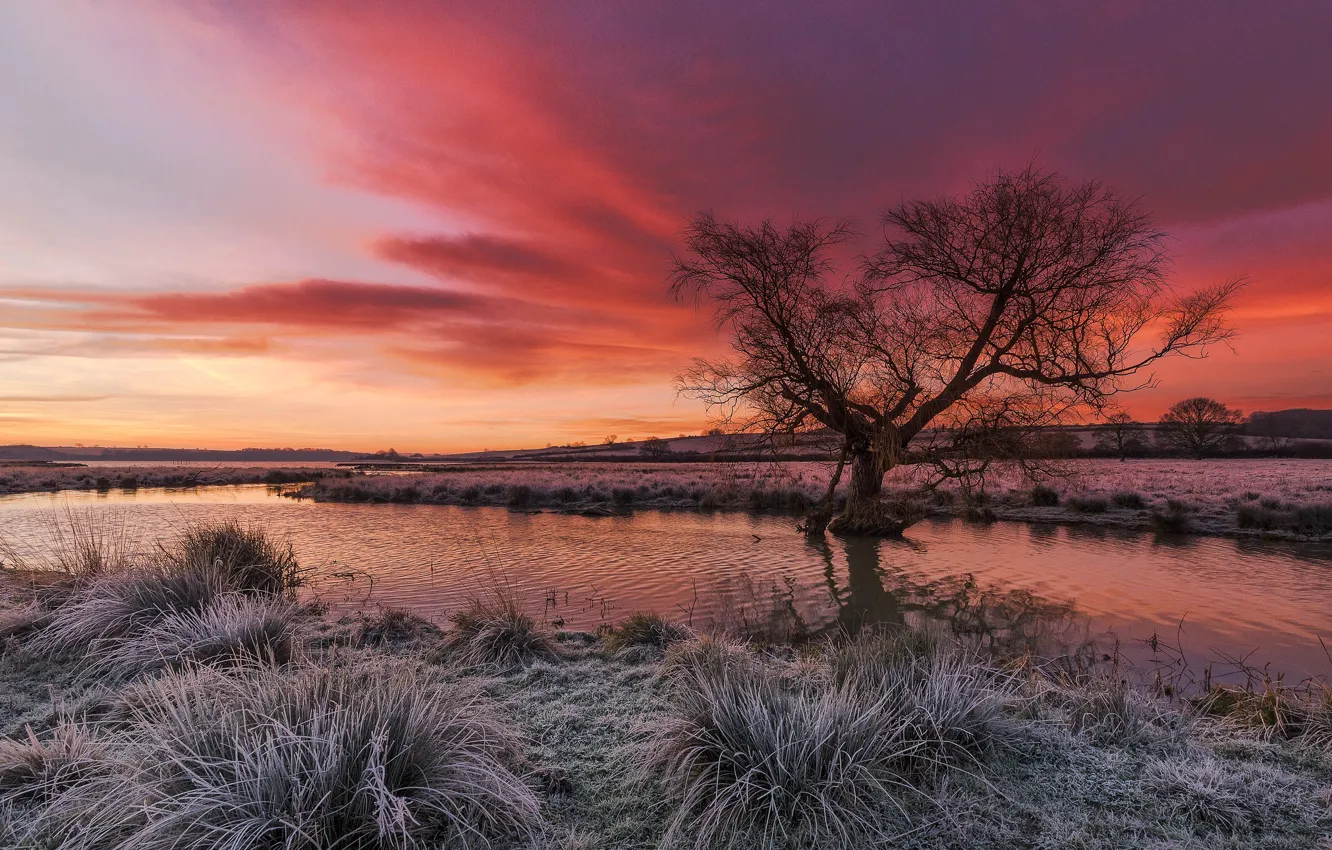Photo wallpaper frost, grass, clouds, river, tree, glow