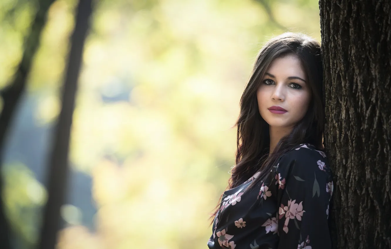 Photo wallpaper look, hair, cutie, Sara