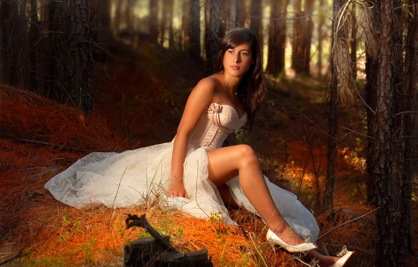 Photo wallpaper forest, look, girl
