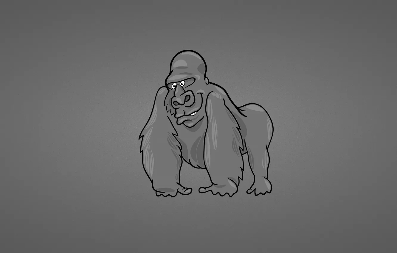 Photo wallpaper the dark background, monkey, gorilla, monkey, Gorilla