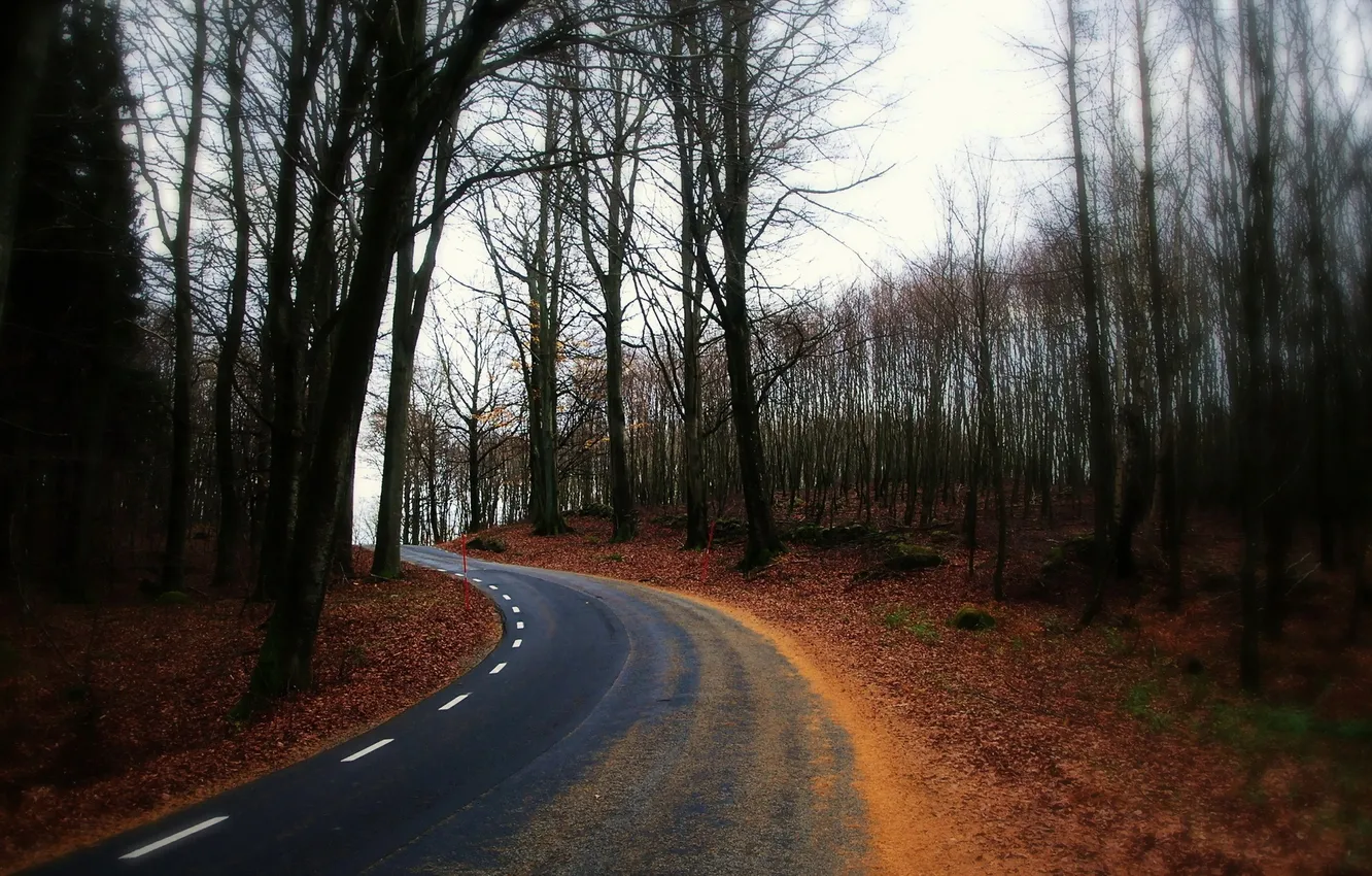 Photo wallpaper road, autumn, landscape