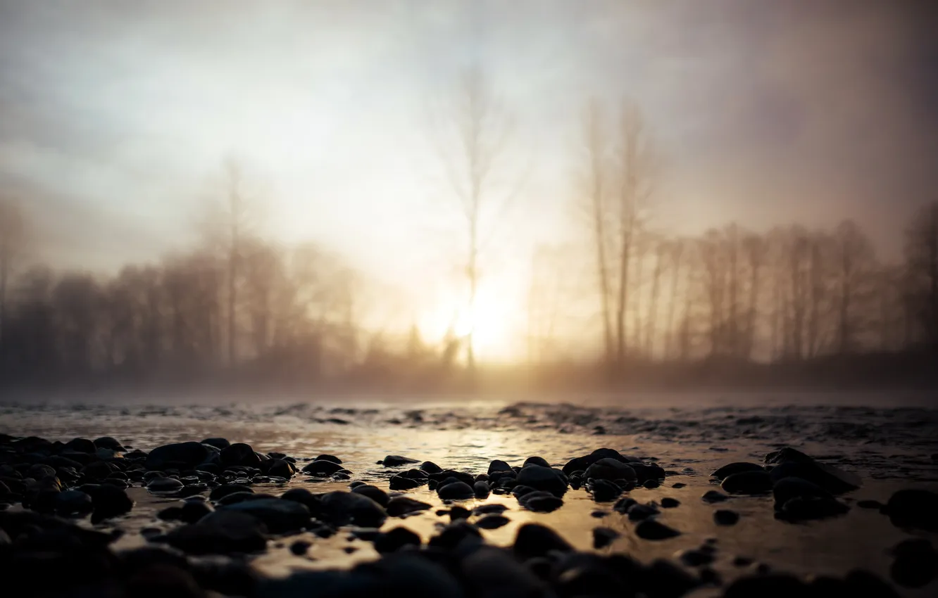 Photo wallpaper fog, river, morning