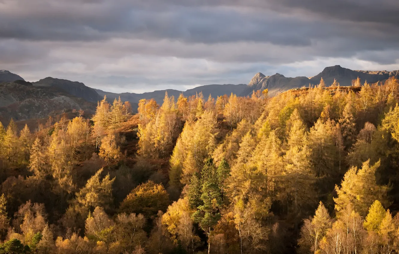 Photo wallpaper autumn, trees, mountains