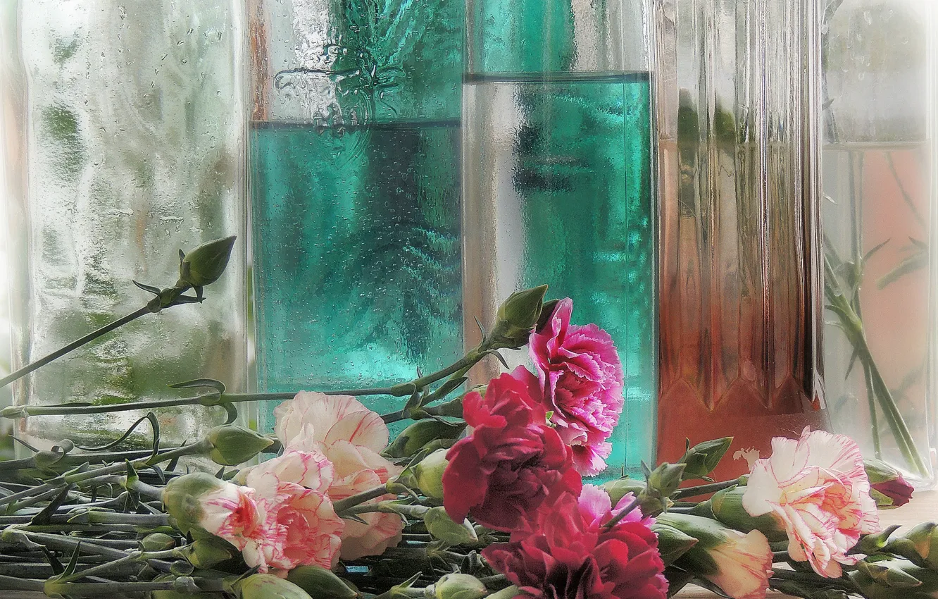 Photo wallpaper glass, style, clove