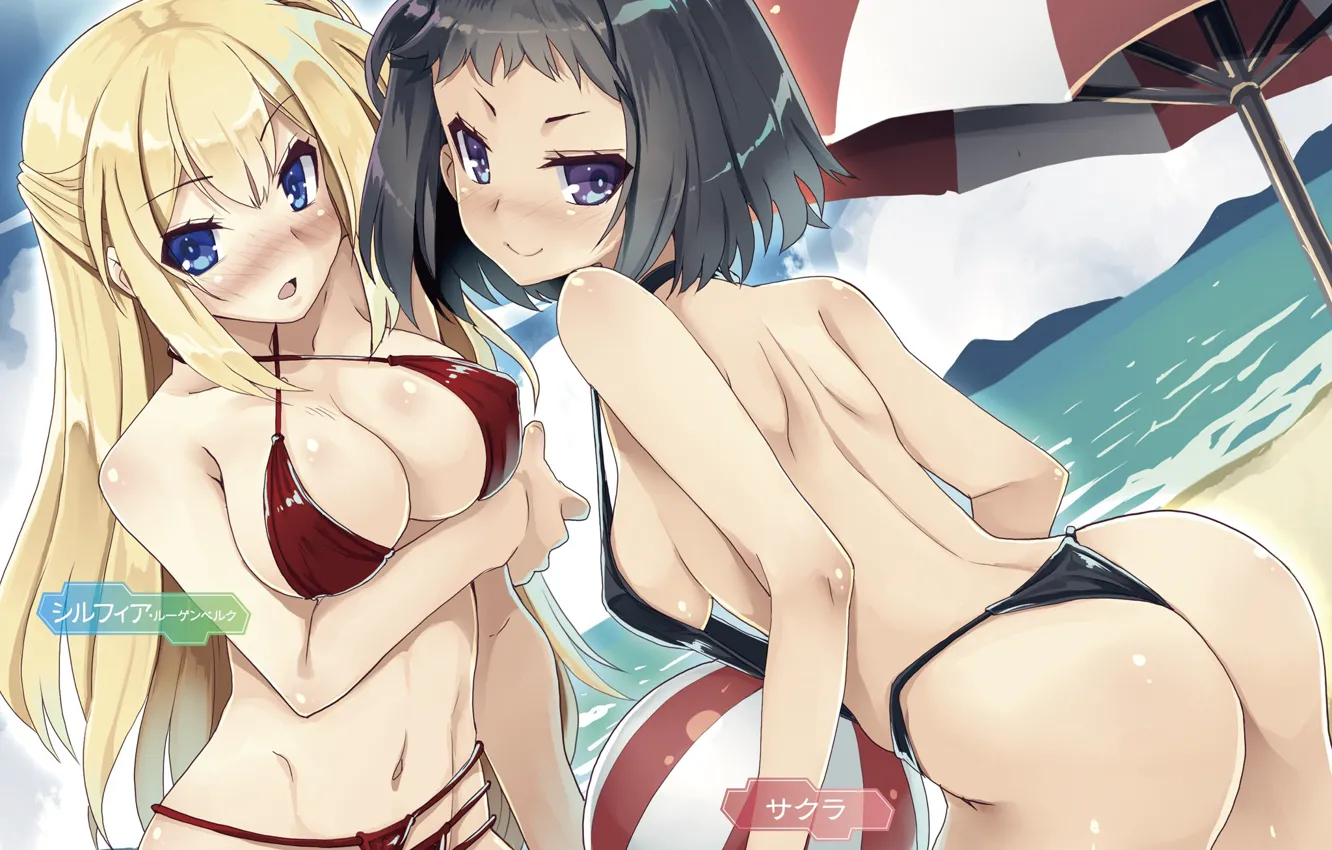 Photo wallpaper swimsuit, girl, Isekai Shihai no Skill Taker