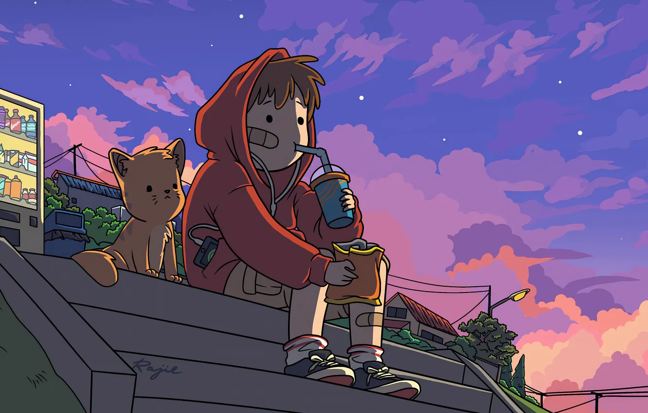 Photo wallpaper the sky, cat, clouds, glass, street, boy, ladder, stage