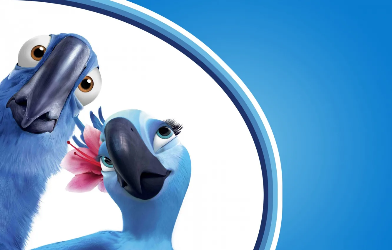 Photo wallpaper look, flowers, background, blue, bird, cartoon, surprise, beak