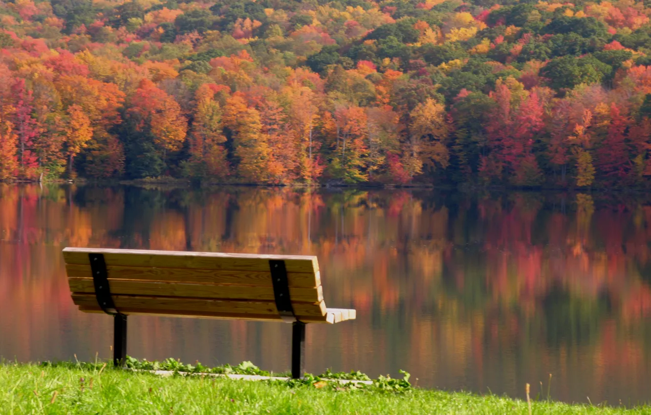 Photo wallpaper autumn, leaves, trees, landscape, bench, reflection, river, serenity