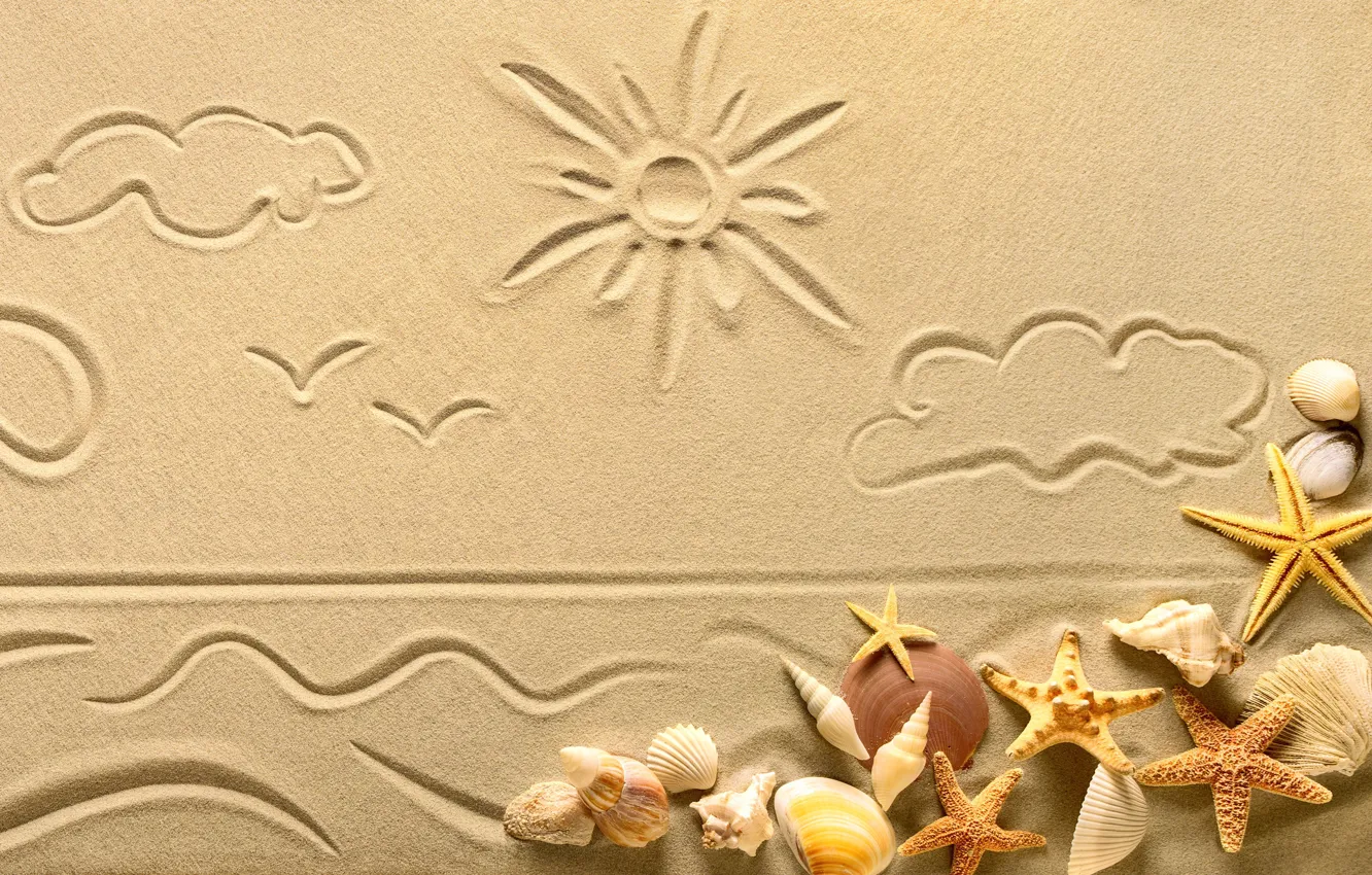 Photo wallpaper sand, star, shell, sand, starfish, seashells