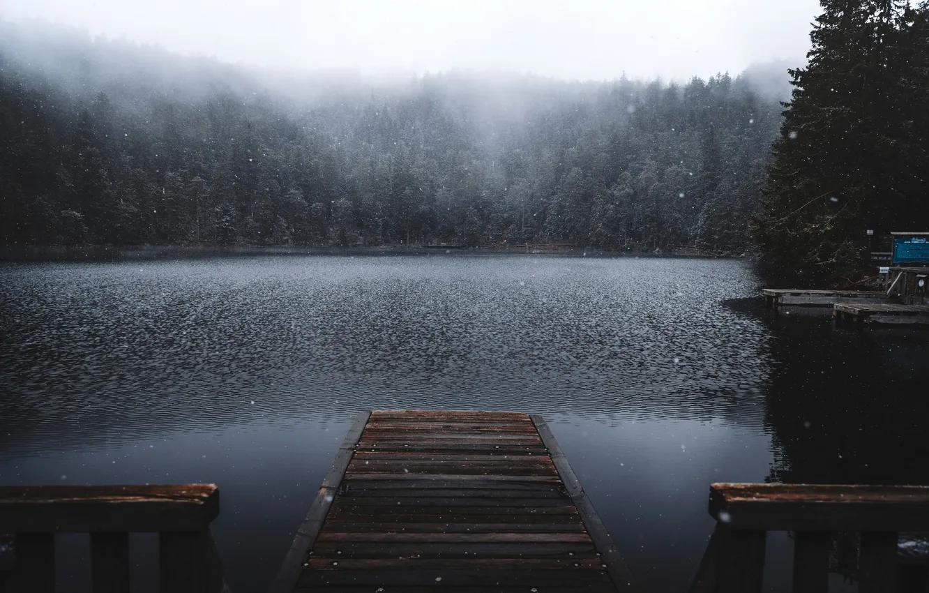 Photo wallpaper forest, the sky, trees, landscape, nature, fog, lake, rain