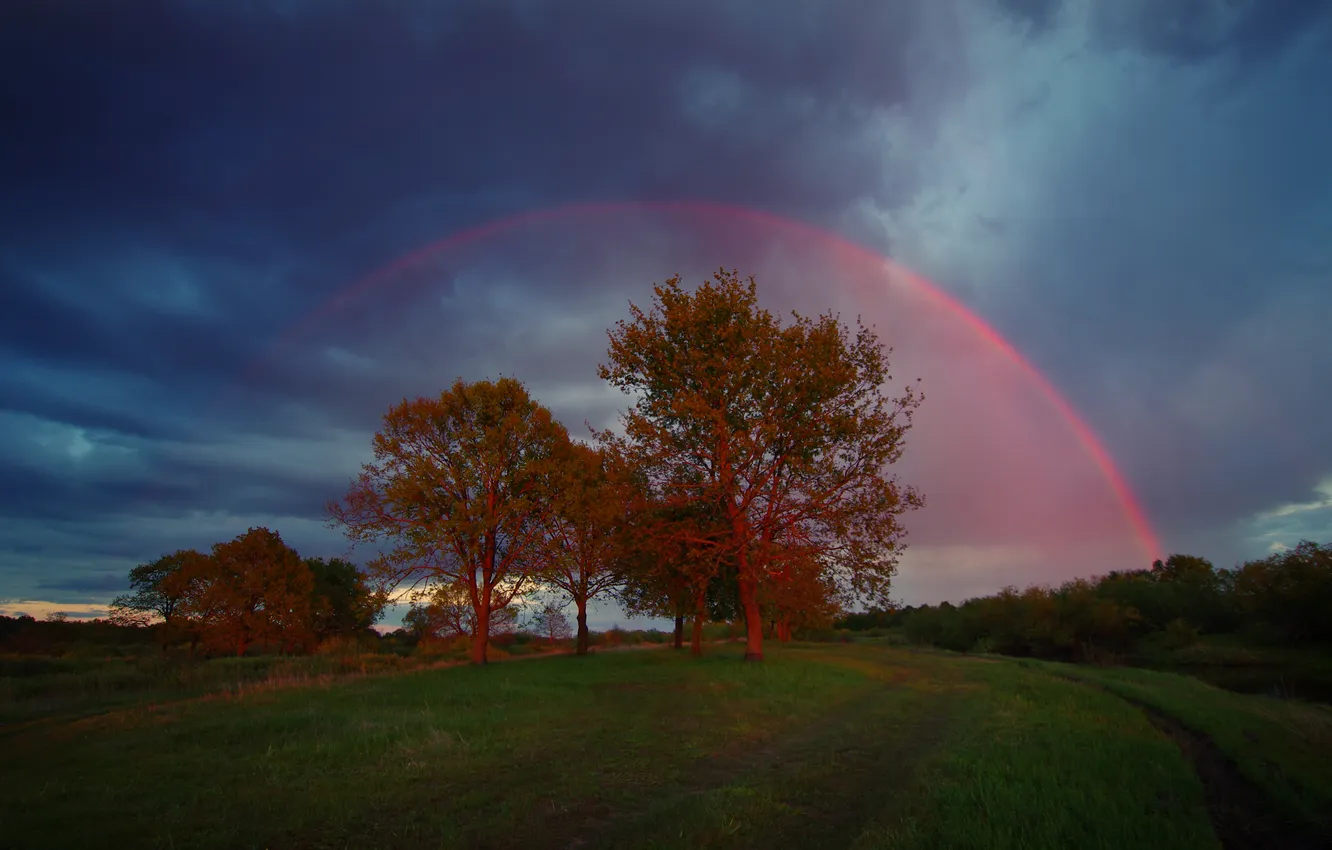 Photo wallpaper clouds, trees, beauty, the evening, green grass, halo, Sergey Shlyaga