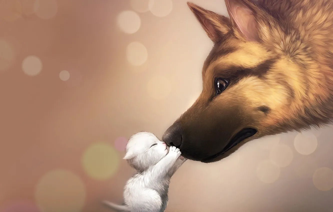 Photo wallpaper dog, friendship, puppy