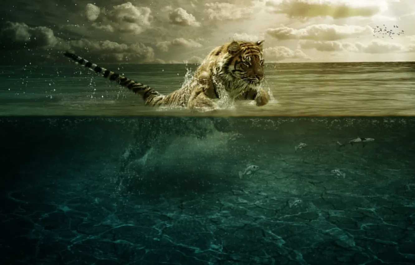 Photo wallpaper water, tiger, jump, fish