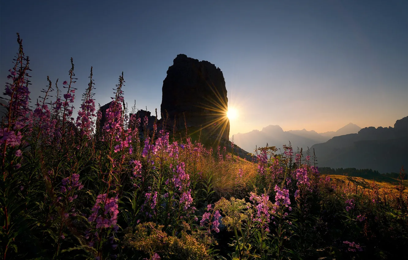 Photo wallpaper summer, the sky, the sun, rays, sunset, flowers, mountains, fog