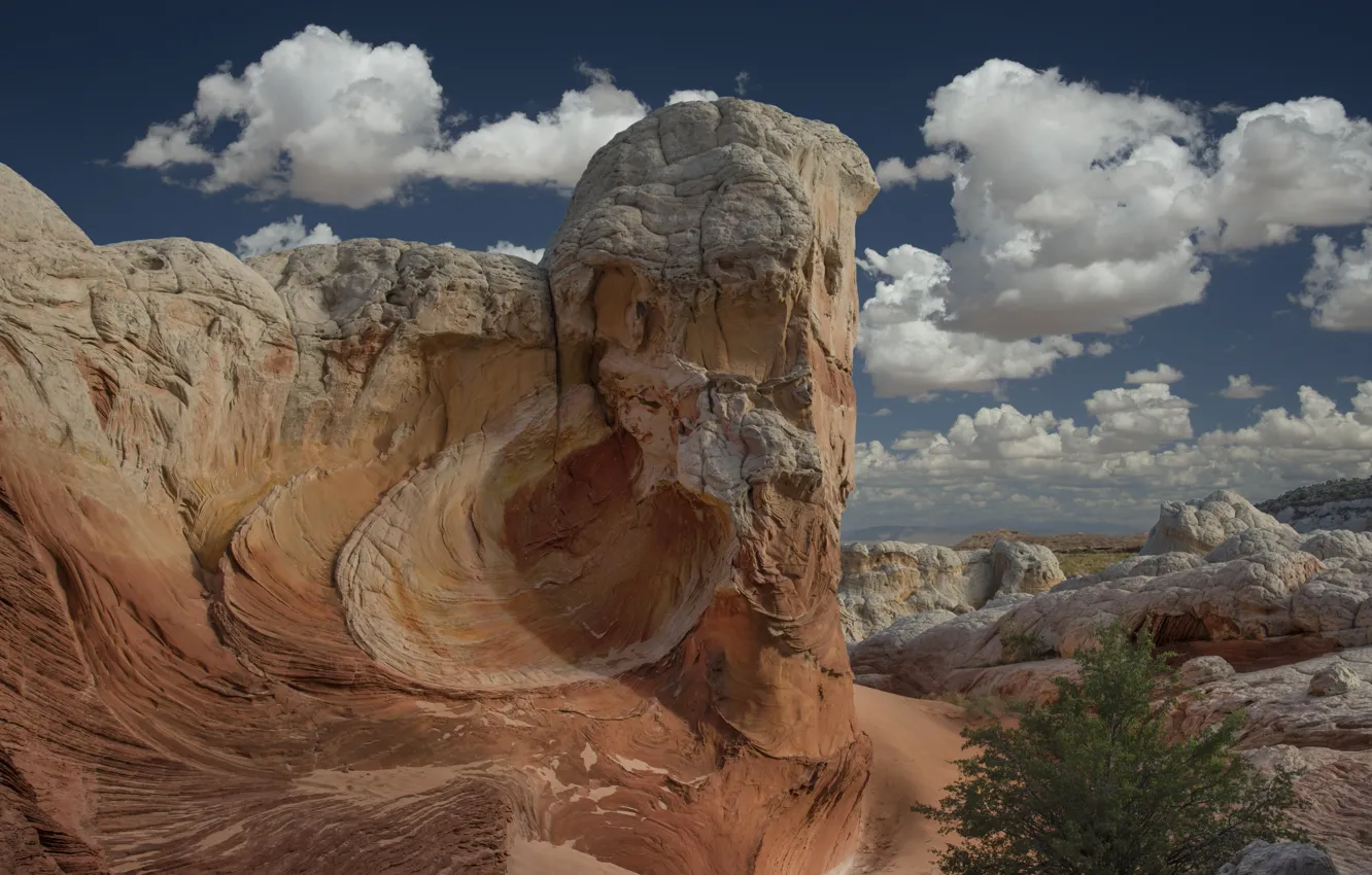 Photo wallpaper rock, AZ, Sedona, Rabbit Ears Rock Formation