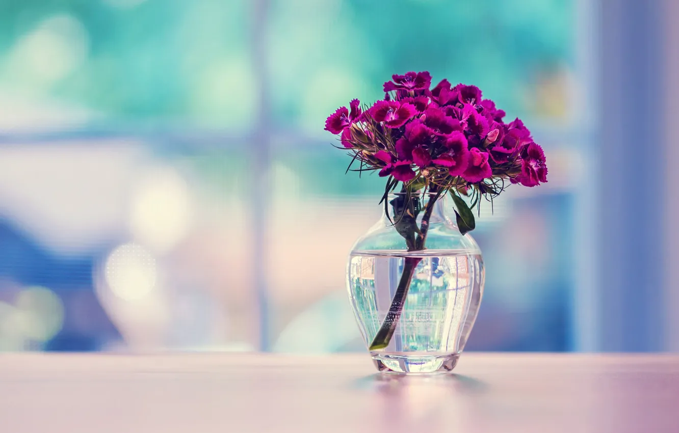Photo wallpaper glass, surface, flowers, vase, carnation, Turkish