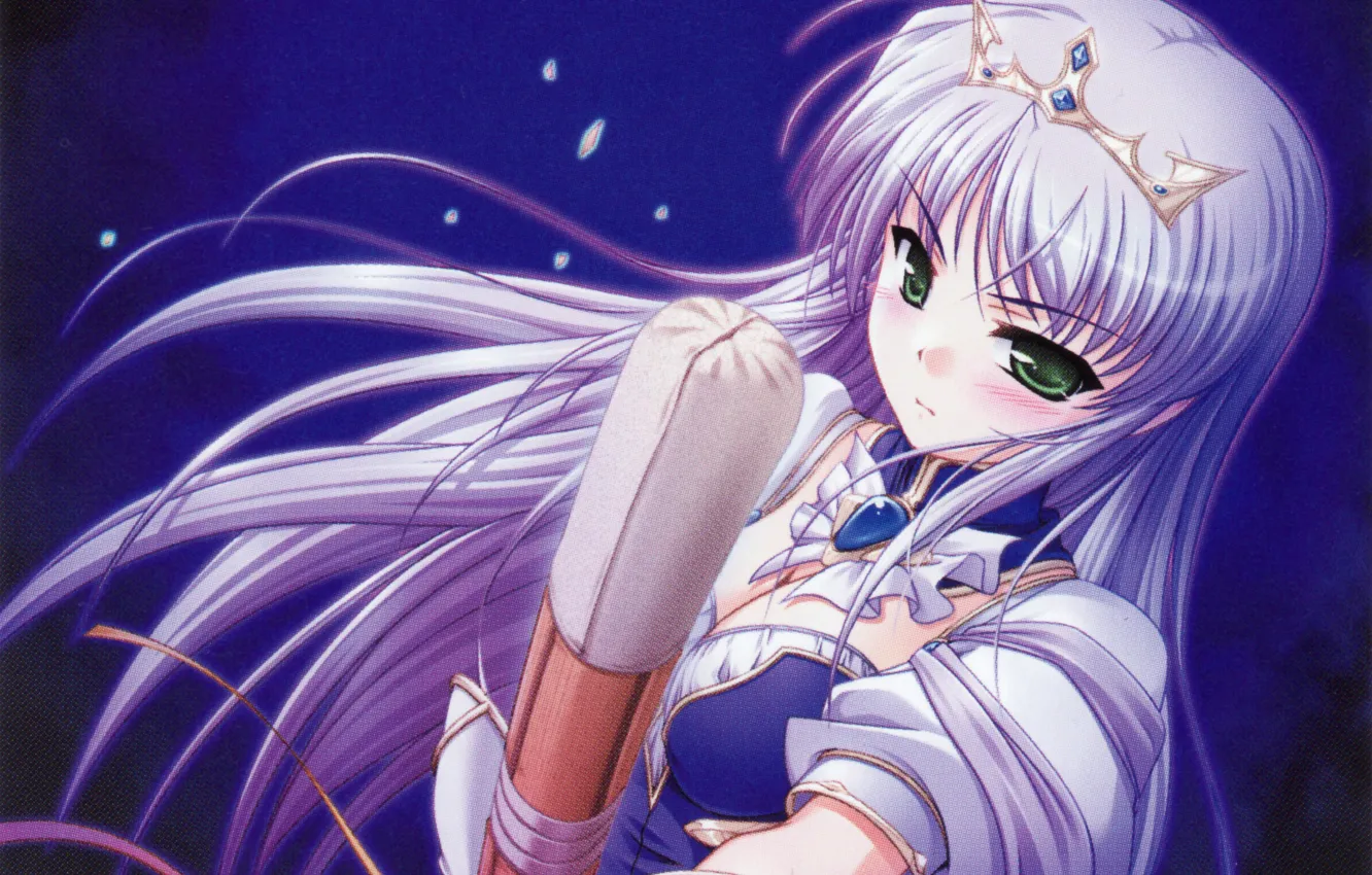 Photo wallpaper night, sword, crown, blush, art, green eyes, visual novel, bamboo