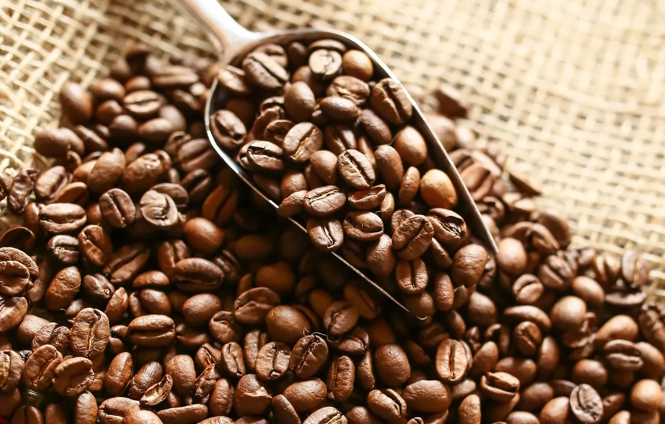 Photo wallpaper coffee, grain, beans, coffee, cloth