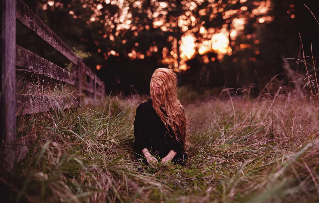 Photo wallpaper field, girl, light, sunset