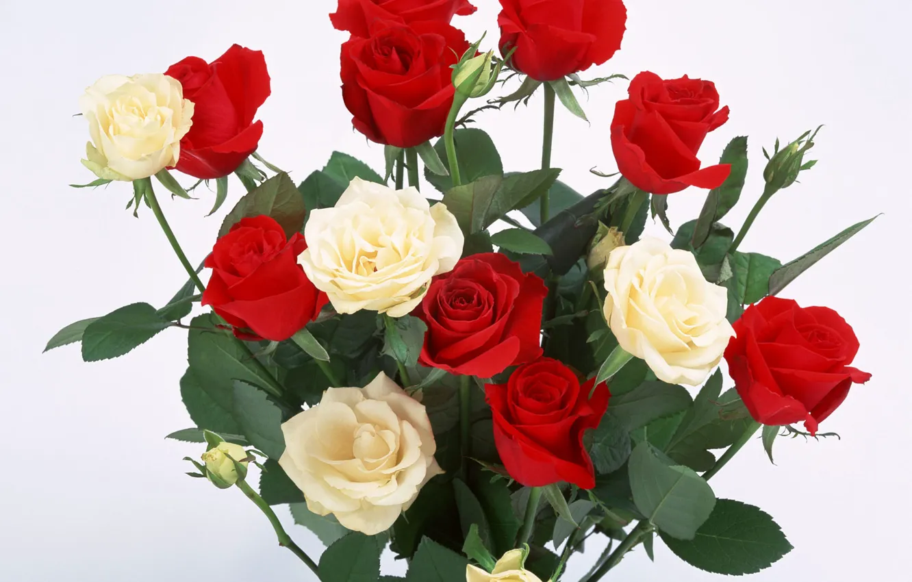 Photo wallpaper flowers, background, mood