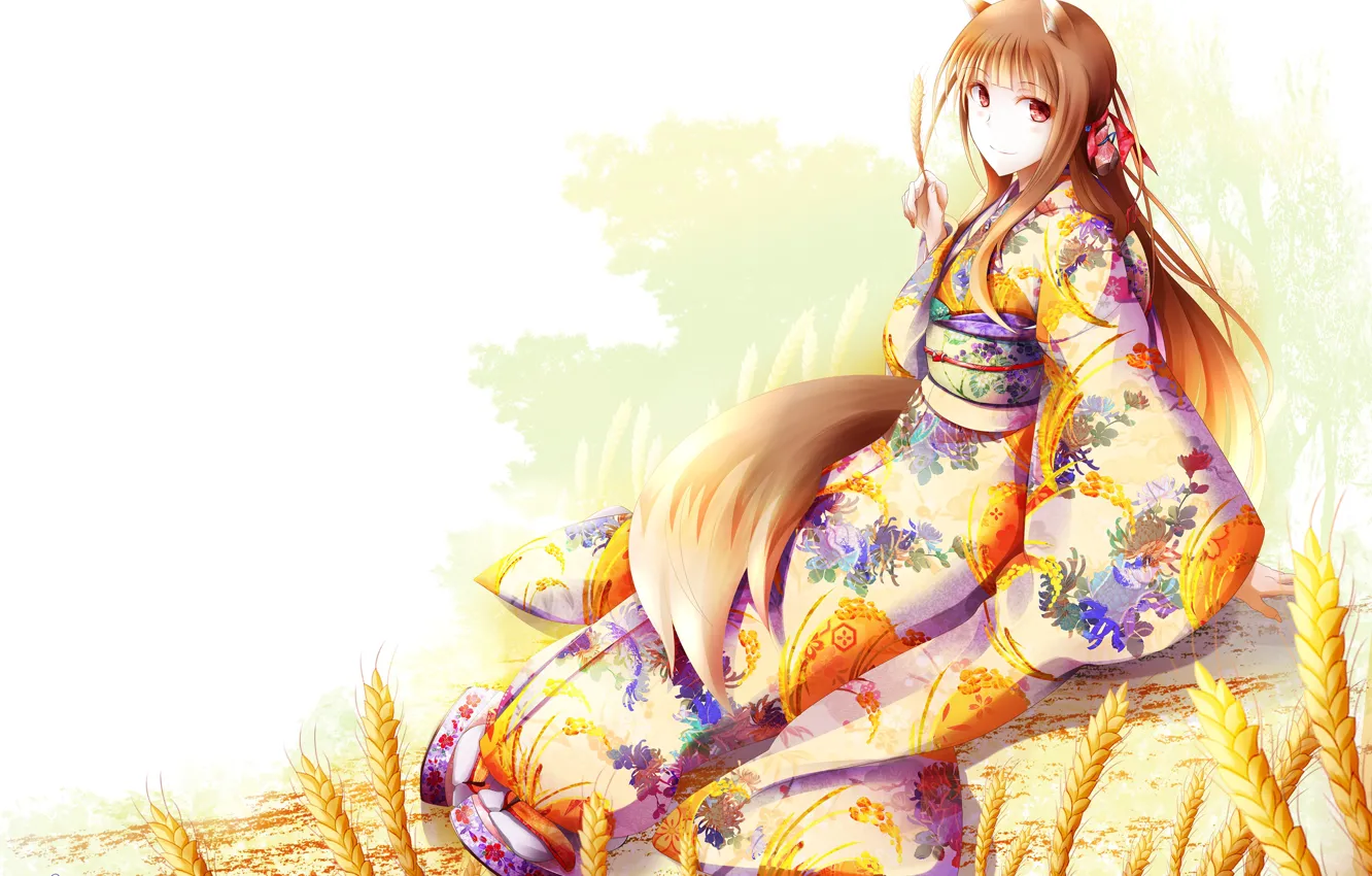 Photo wallpaper girl, background, white background, red, sitting, yukata, ears, Spice and Wolf
