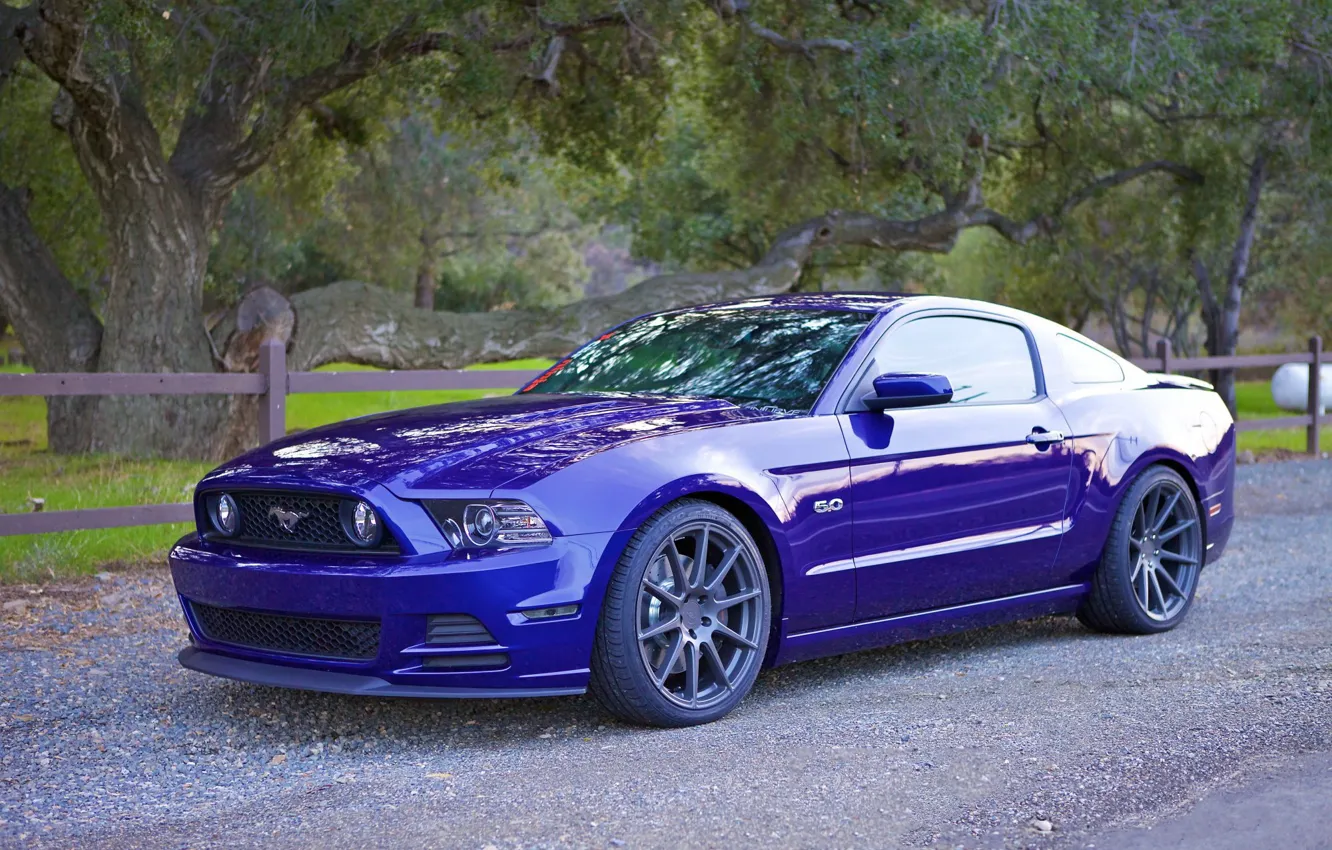 Photo wallpaper Mustang, Ford, IC-S10, Incurve