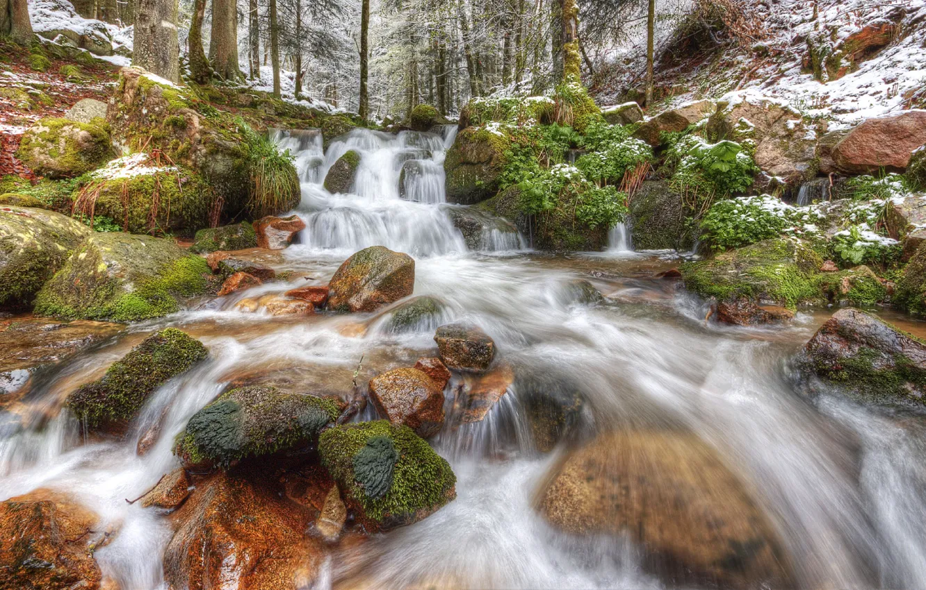 Photo wallpaper forest, snow, trees, river, stones, France, stream