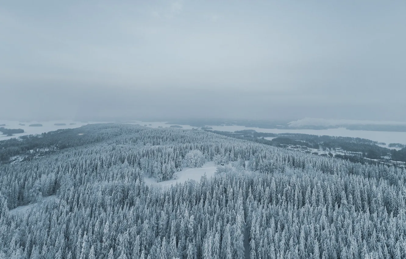 Photo wallpaper winter, forest, the sky, clouds, snow, fog, overcast, hills