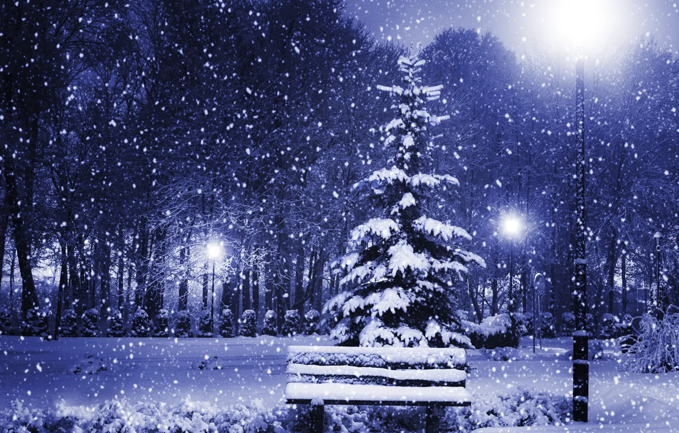 Photo wallpaper winter, light, snow, trees, bench, nature, city, tree