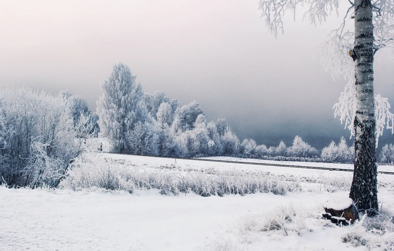 Photo wallpaper winter, frost, snow, trees, railroad, Sweden