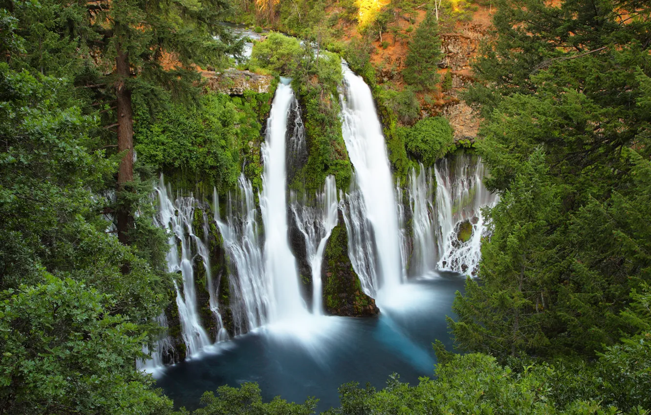 Photo wallpaper forest, trees, rocks, waterfall, CA, top, USA, USA