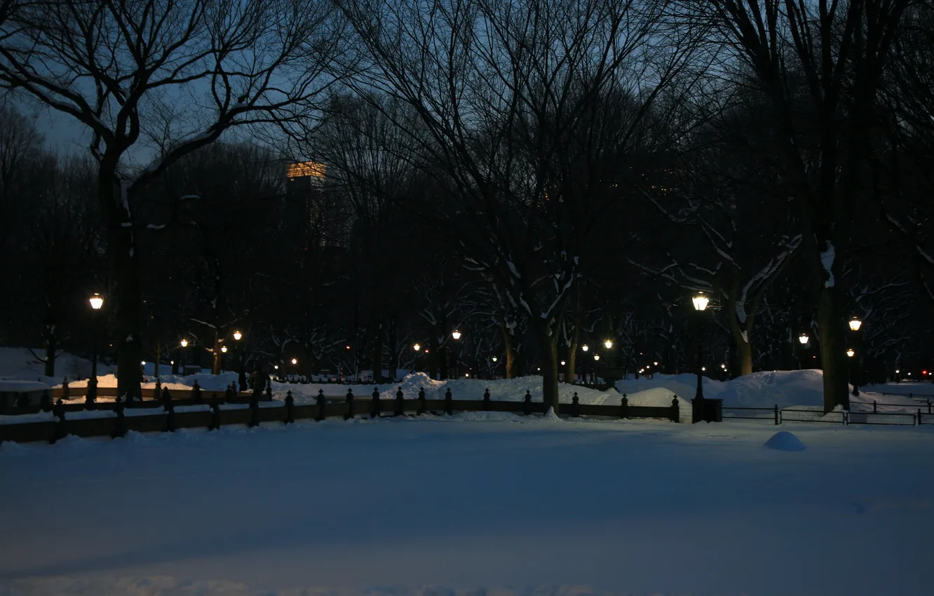 Photo wallpaper winter, the sky, snow, trees, night, city, the city, lights